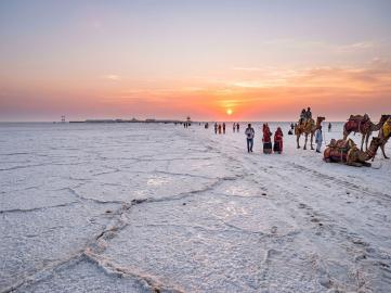 Ultimate Kutch Experience
